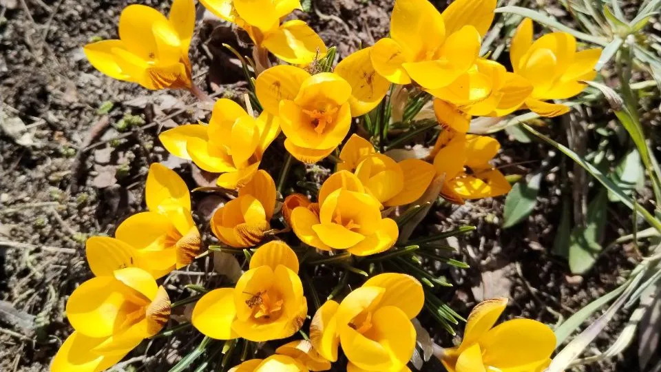 Фото: REGIONS/Василий Тремасов