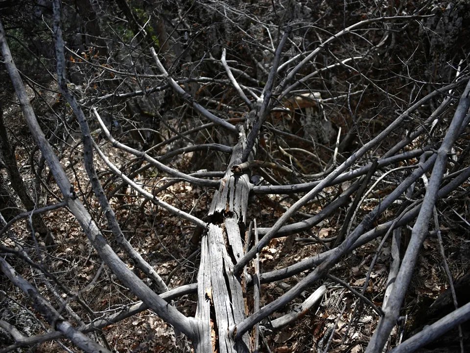 Фото: РИА Новости/Алексей Мальгавко