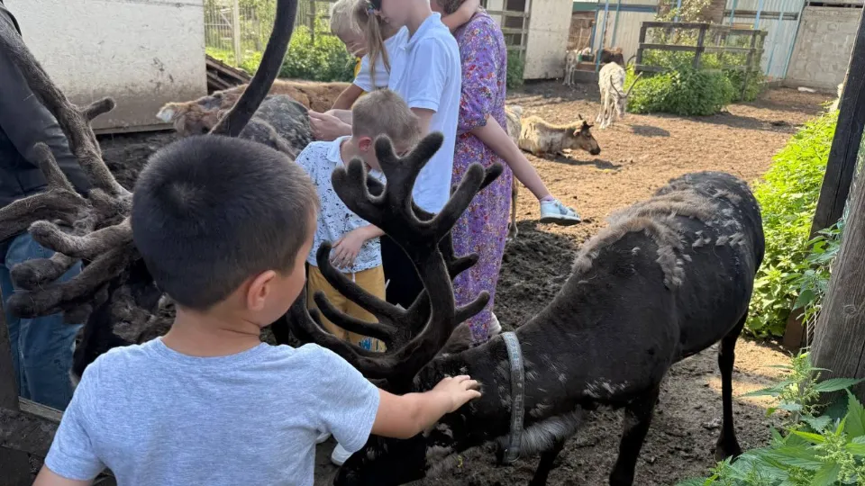 Фото: пресс-служба администрации г.о. Люберцы