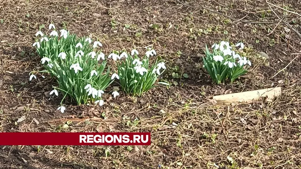 Фото предоставлено жительницей Жуковского