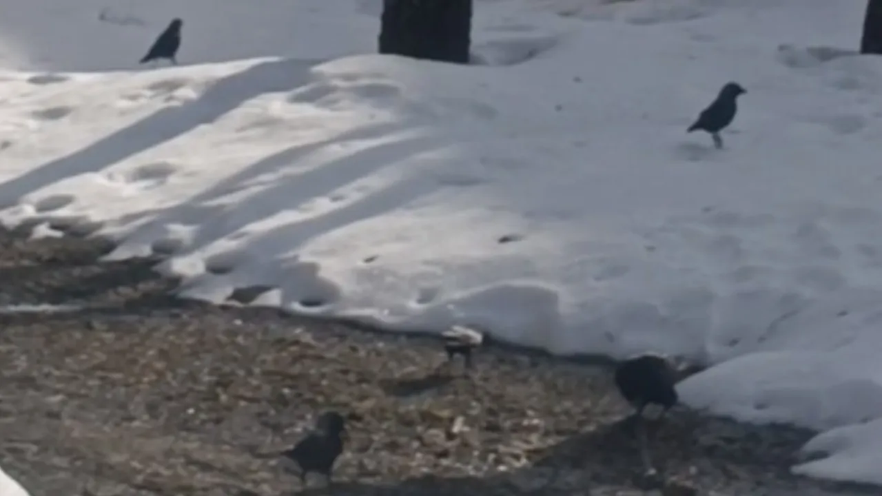 Личный архив Виктории Куликовой