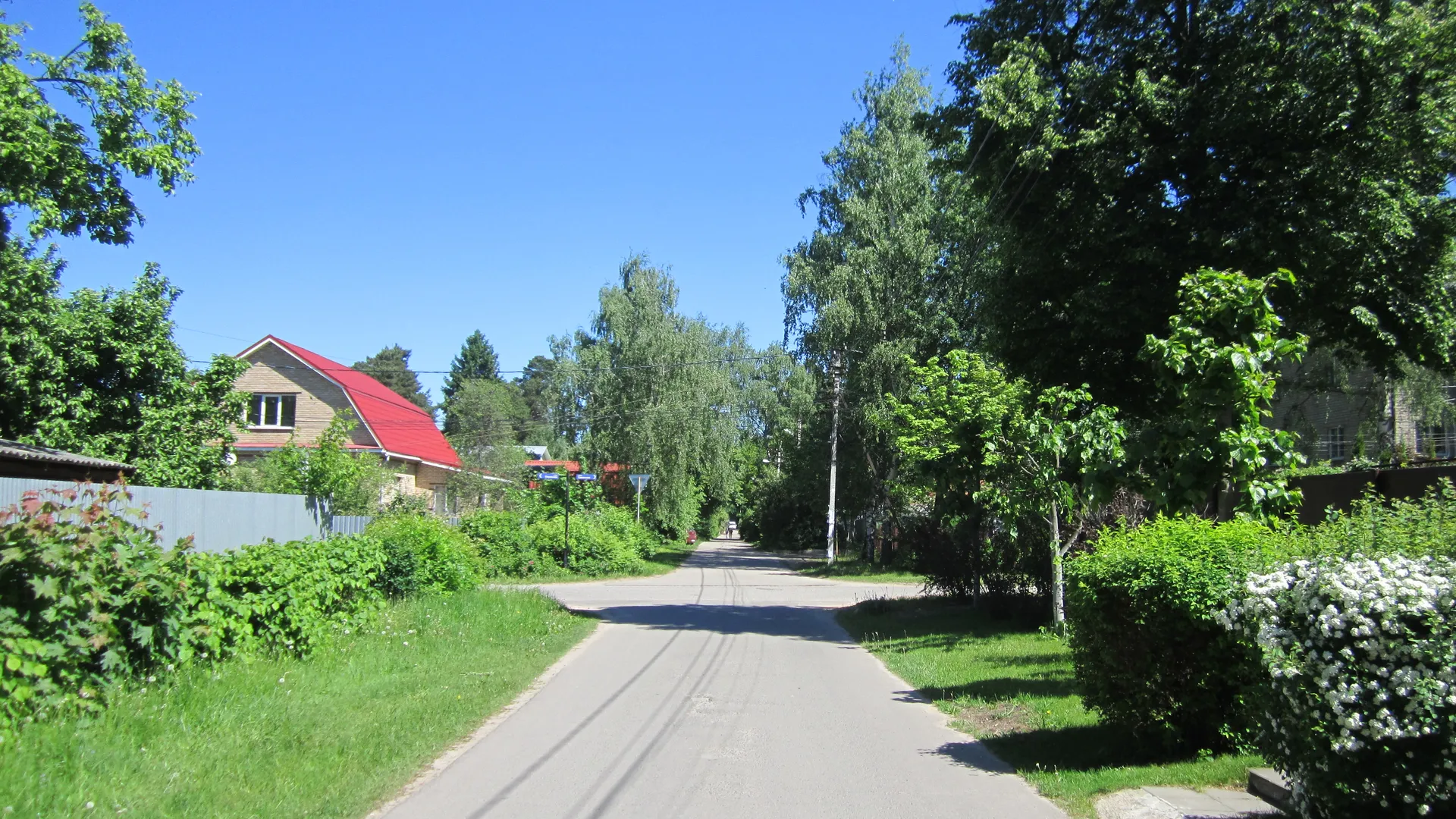 Фото: Олег Книжник