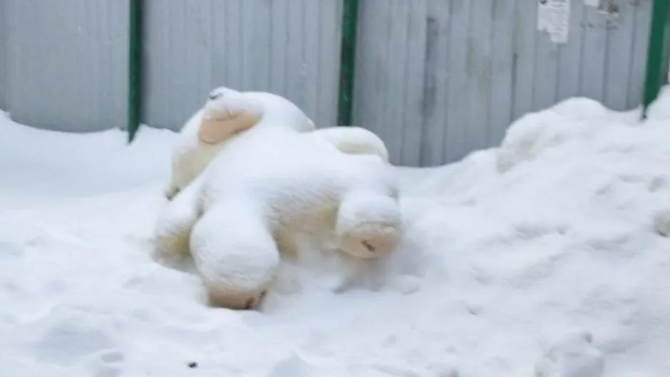 Фото: Каширский региональный оператор