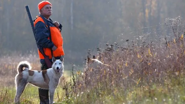 С начала года в МО выдано более 14 тыс охотничьих билетов