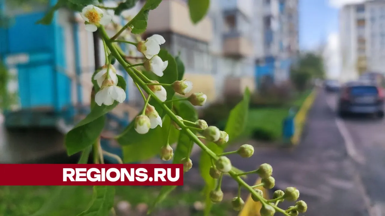 Фото: Екатерина Белякова