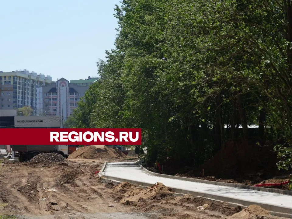 Фото: Дмитрий Зайчиков