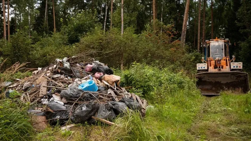 Фото: пресс-служба администрации г.о. Люберцы