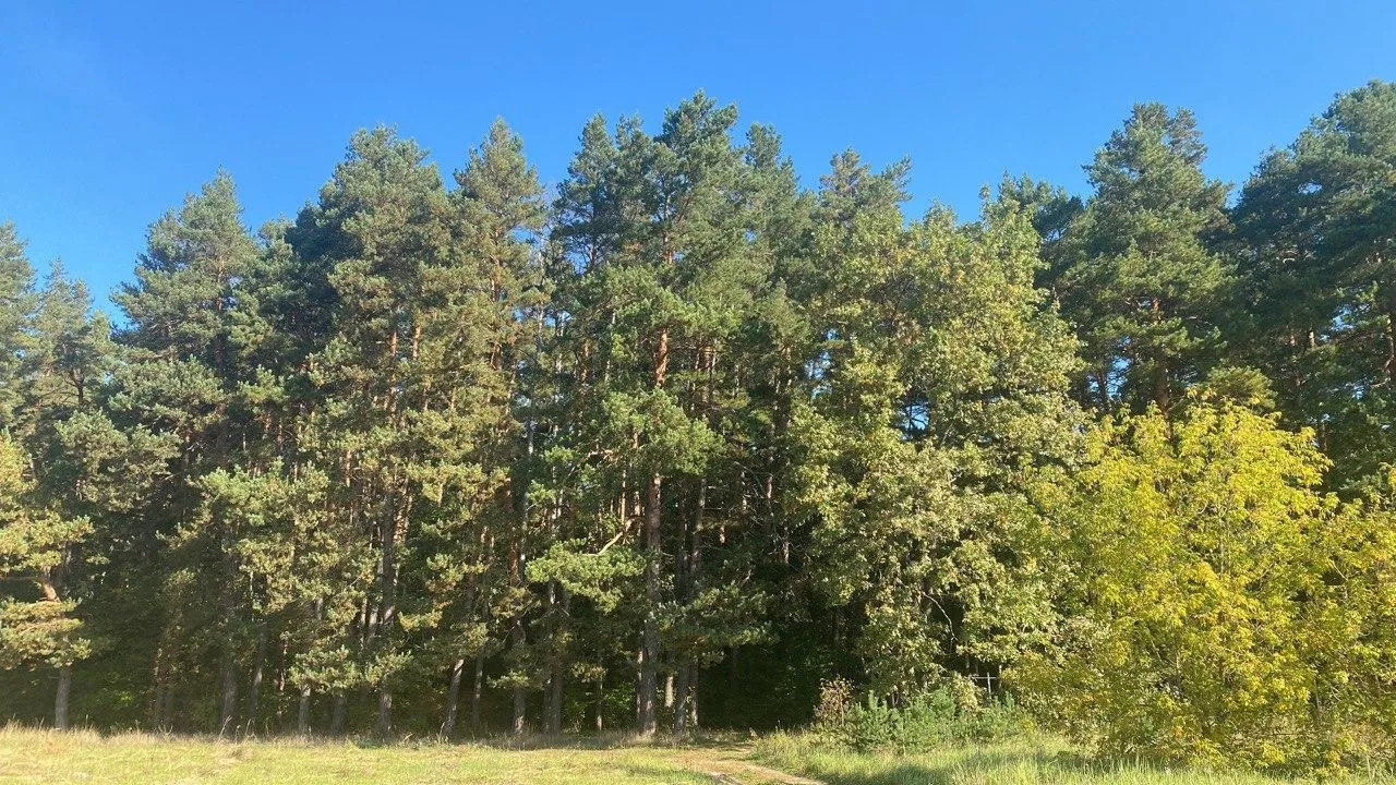 REGIONS/Александр Легкий