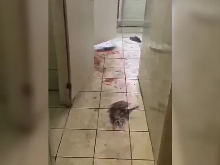 «Классный руководитель из лицея в Химках в понедельник выйдет на работу»: Минобразования области