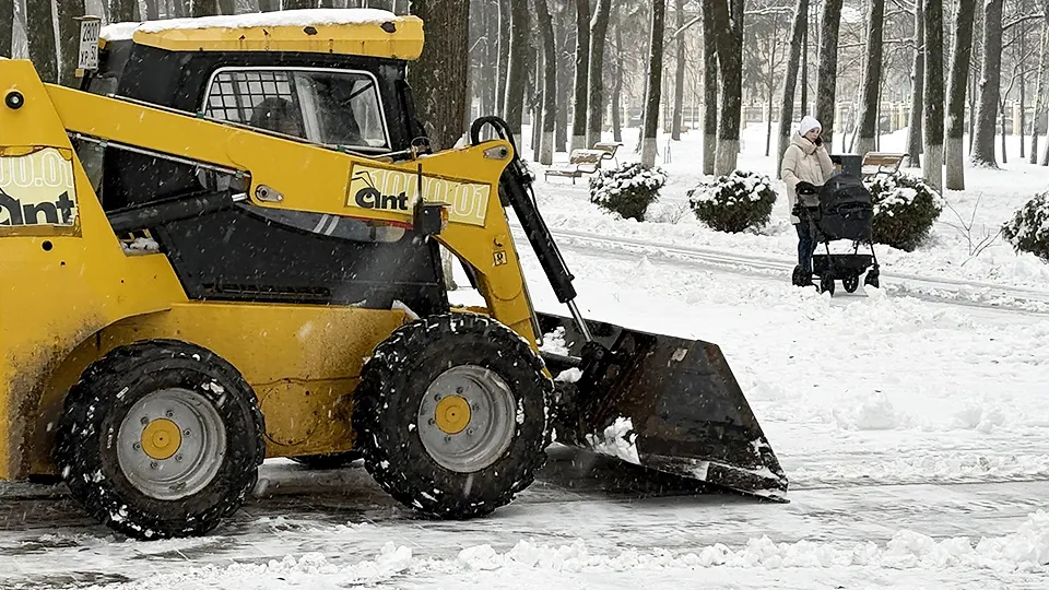 Фото: МедиаБанк Подмосковья/Анна Нестерова