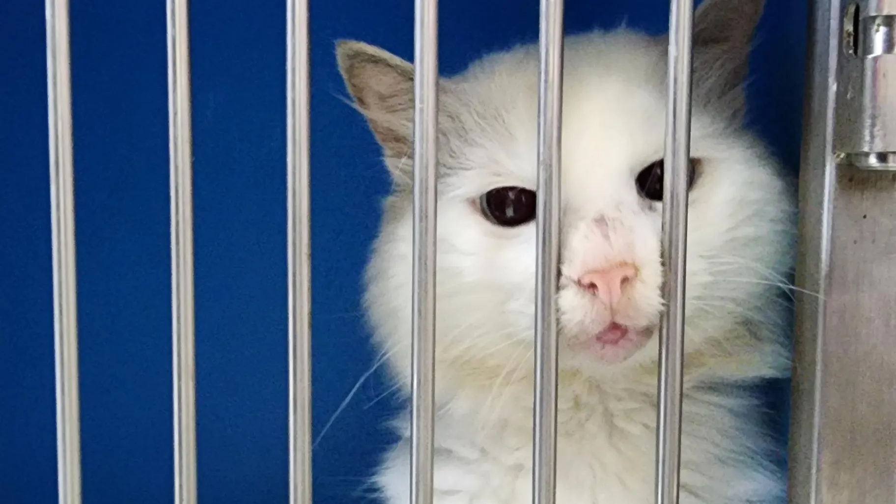 Фото: Анна Тюрюмина