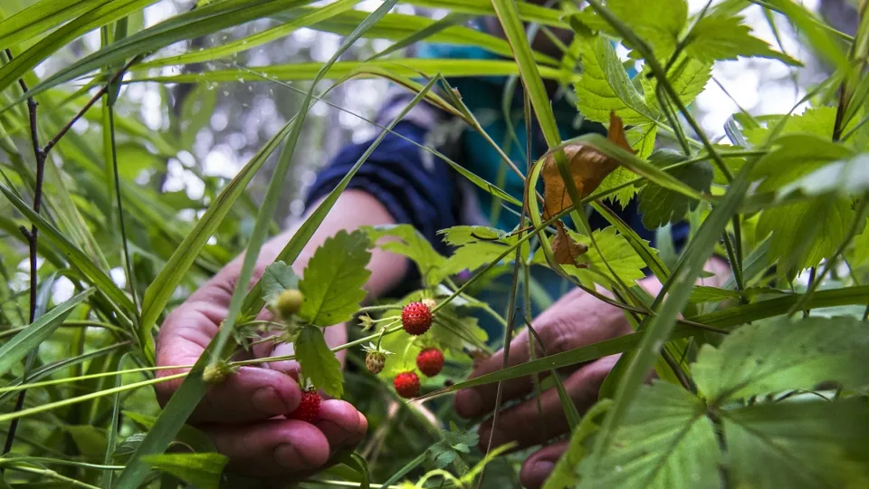Фото: РИА Новости/Алексей Мальгавко