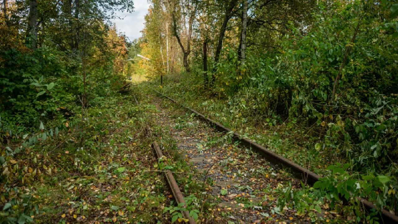 Ночью двое подростков заблудились на железнодорожных путях в Кирово