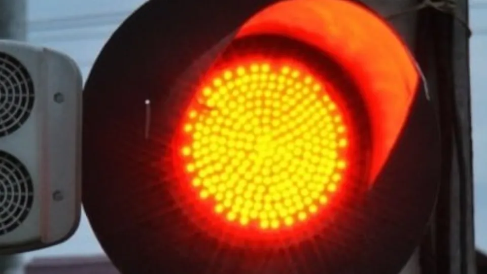 Фото: пресс-служба администрации Дмитровского округа