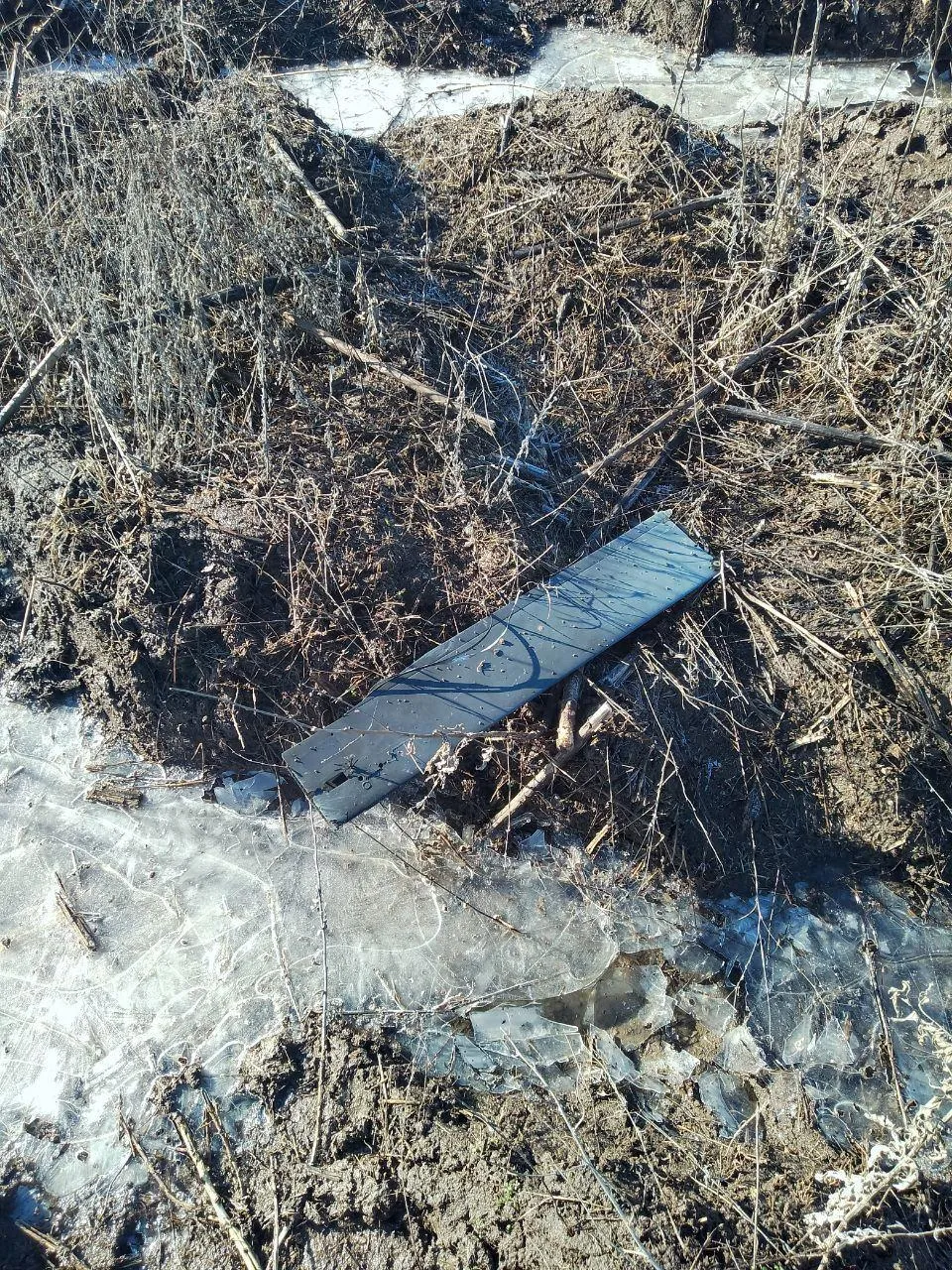 Губернатор  Херсонской области Владимир Сальдо