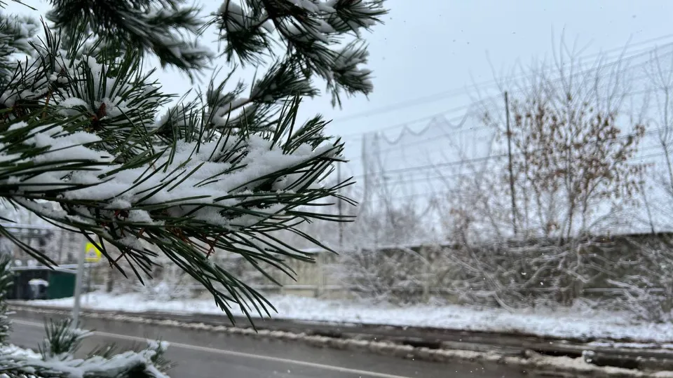 Фото: REGIONS/Елена Фурман