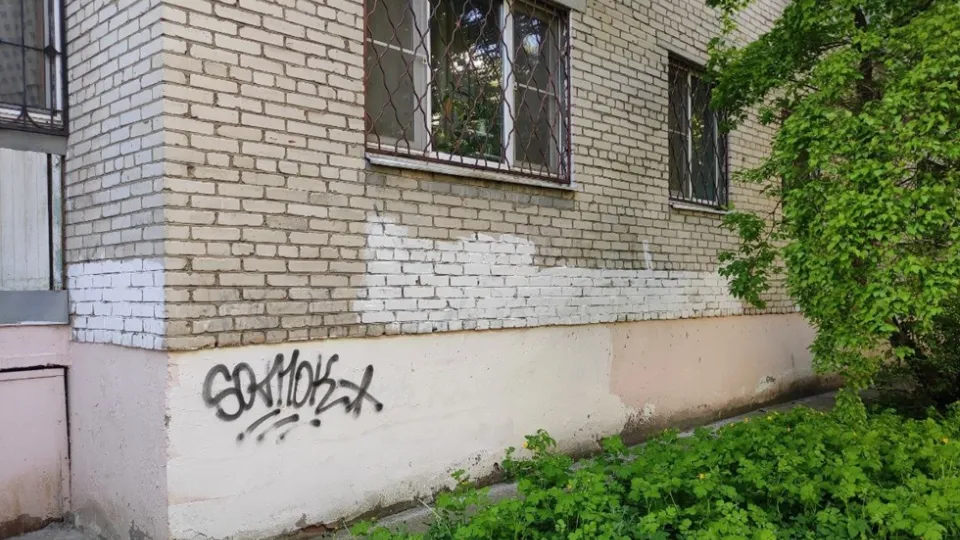 Фото: пресс-служба администрации г.о. Лыткарино