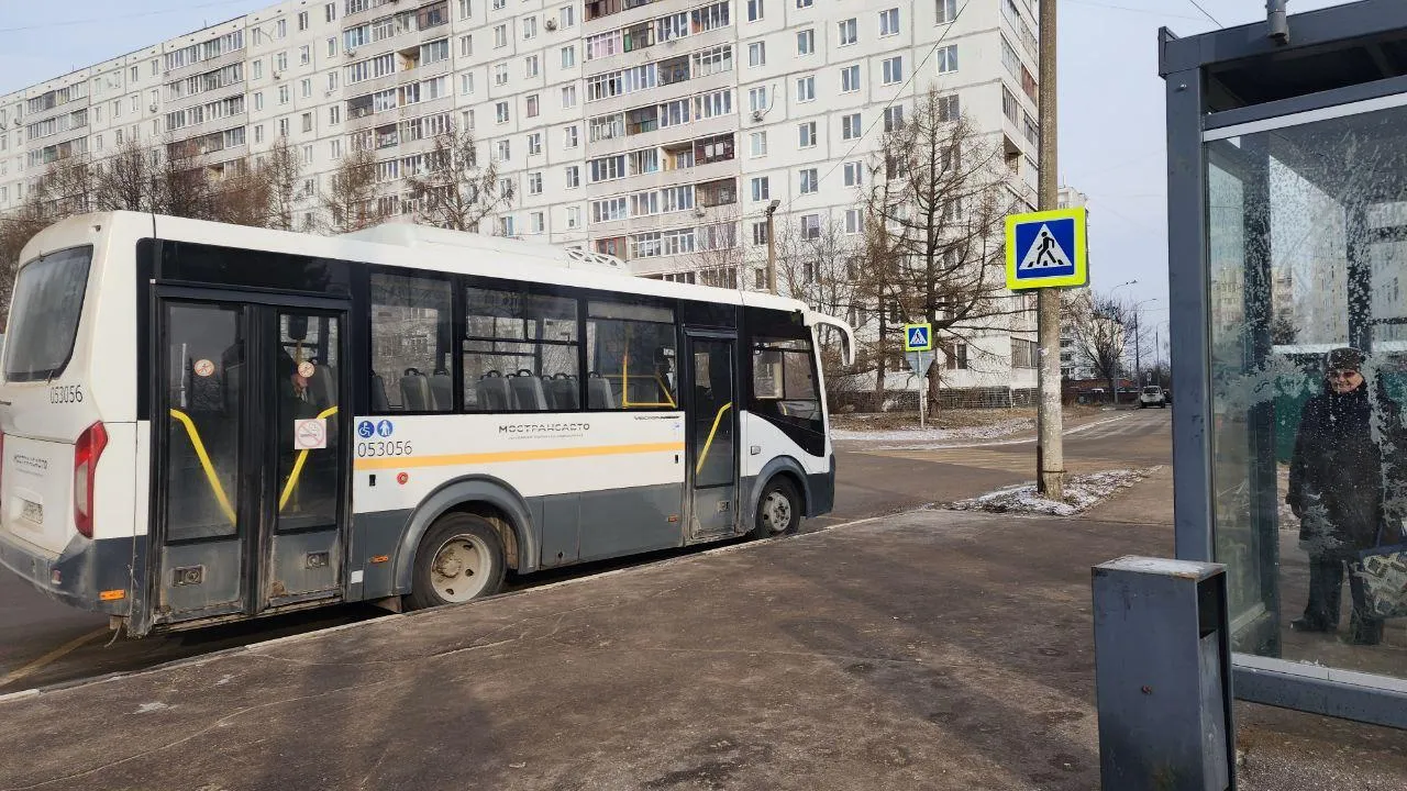 Фото: Мария Панина