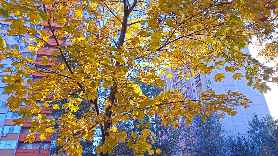 Фото: REGIONS/Дмитрий Кравцов