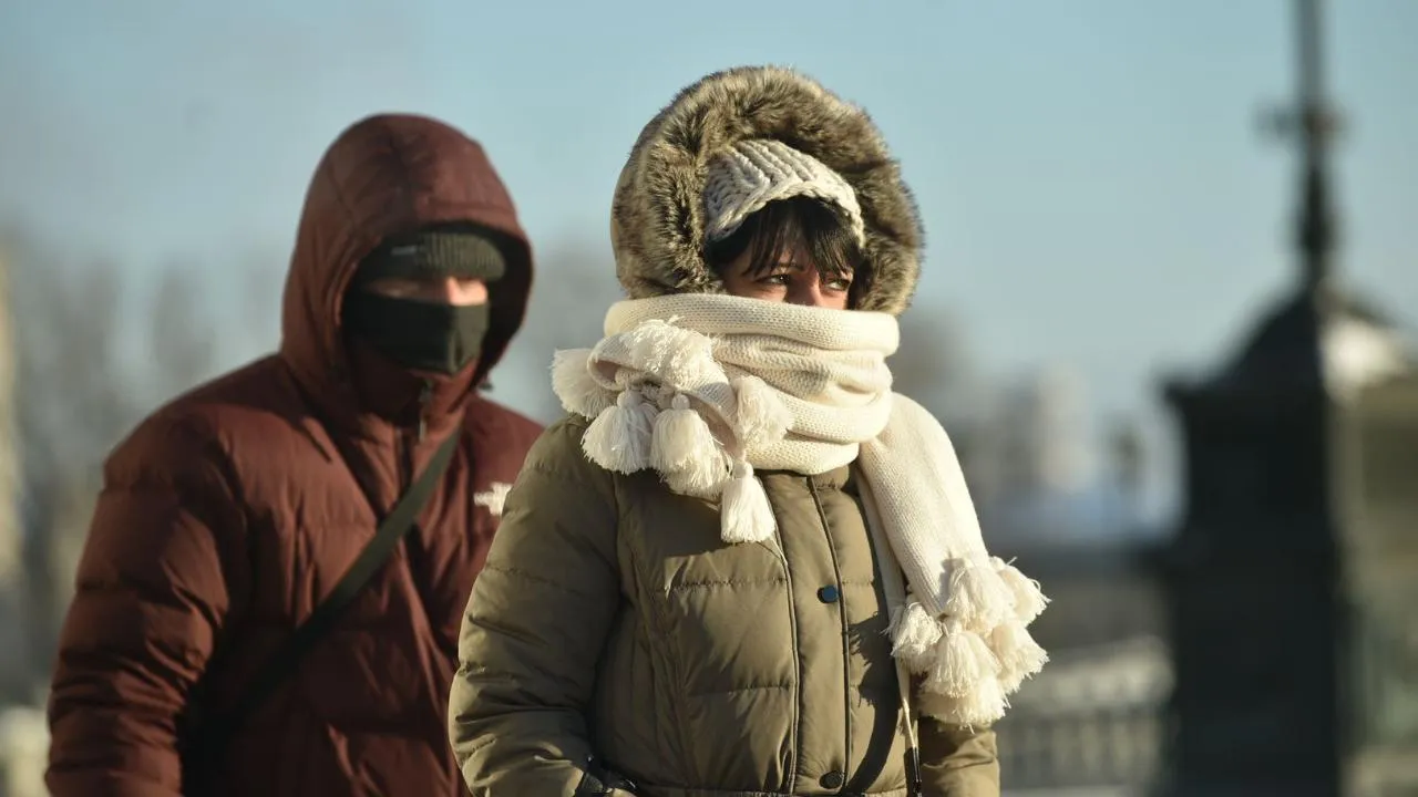 медиасток.рф