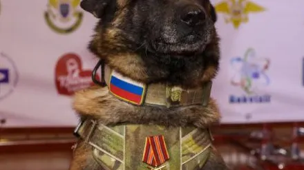 Фото пресс-службы администрации г.о. Балашиха