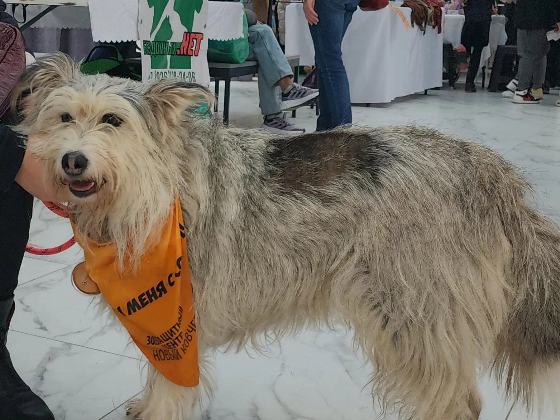 Фото: Анна Тюрюмина&nbsp; &nbsp; &nbsp; &nbsp; &nbsp;&nbsp;