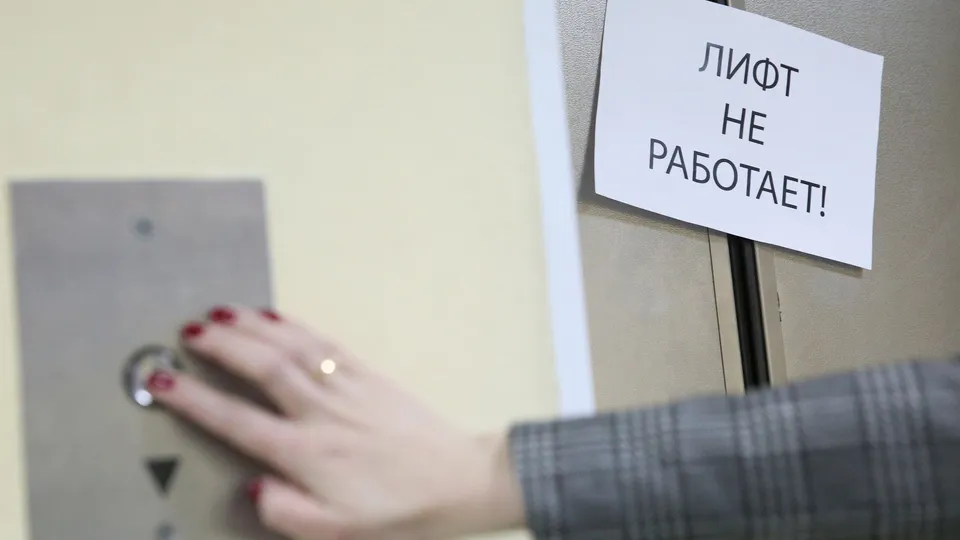 Фото: Медиаархив Подмосковья