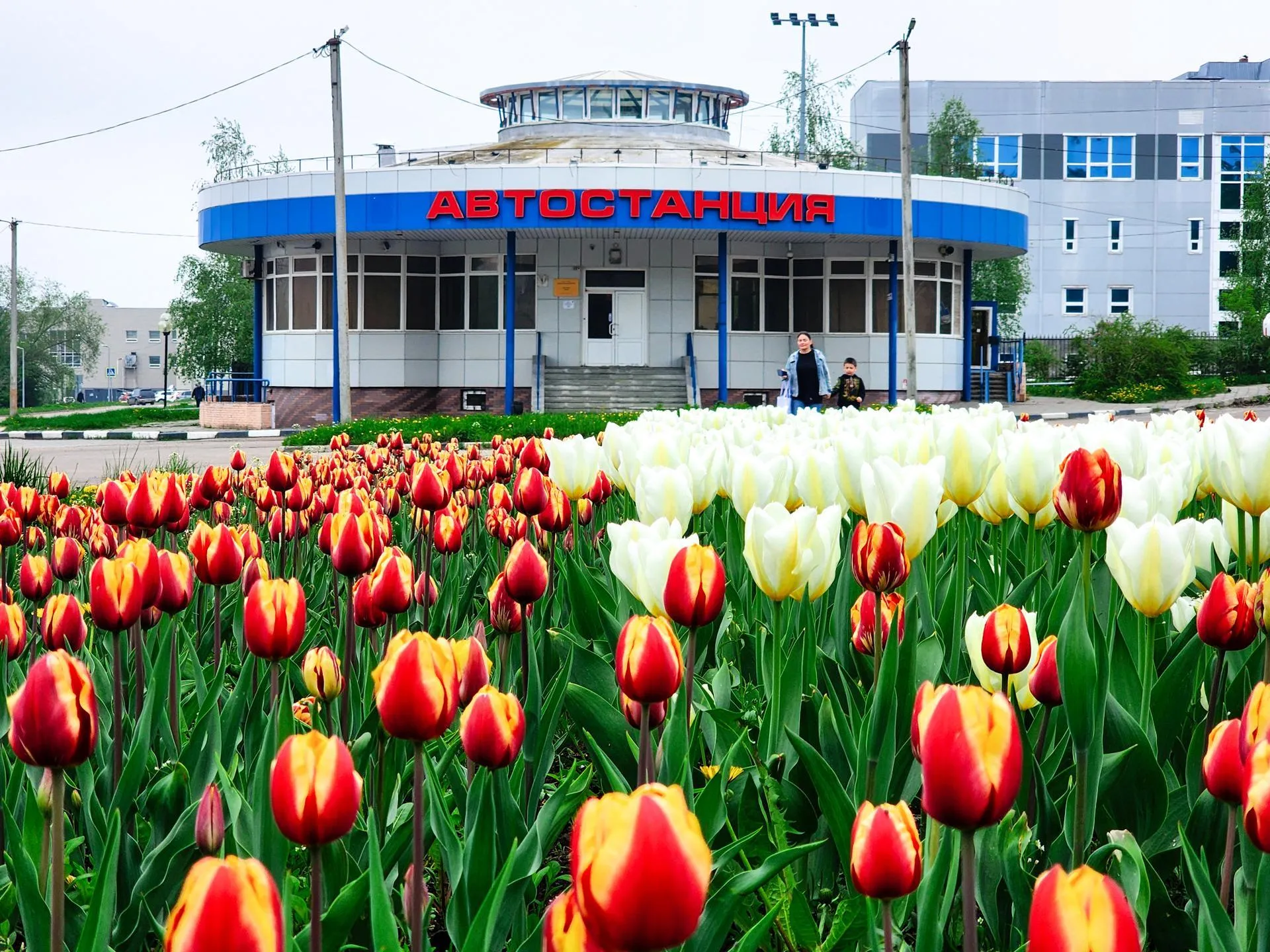 Картинка