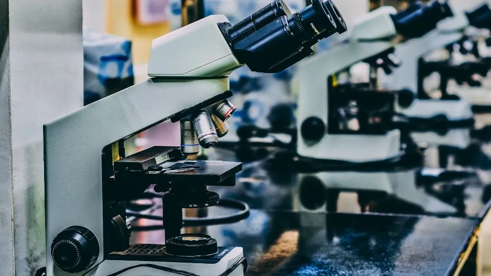 Фото: unsplash.com