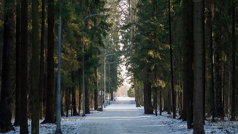 Фото: медиасток.рф