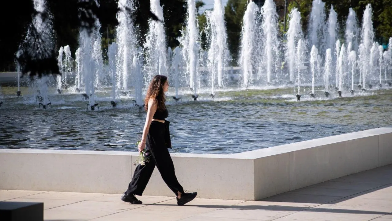 Фото: Сергей Полетаев / предоставлено Минблагоустройства МО