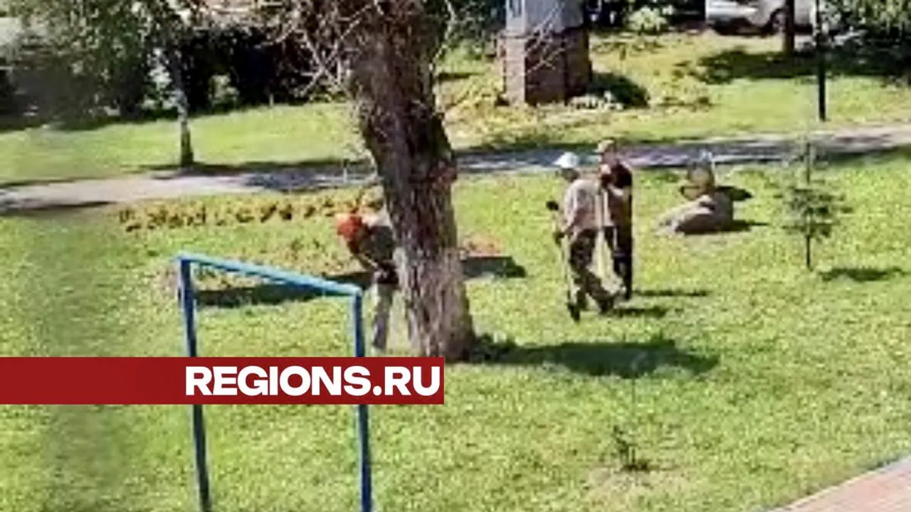 Фото: Татьяна Кузовлева