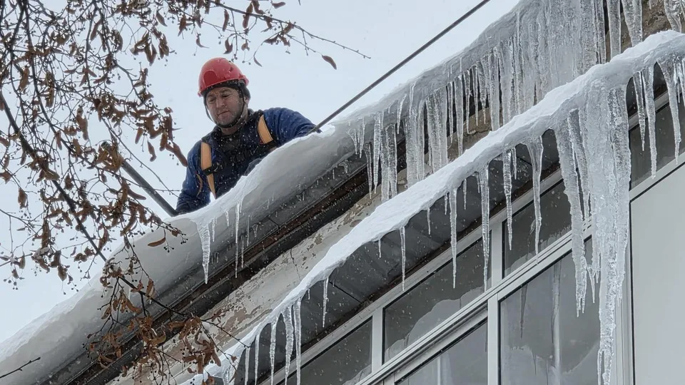 Фото: МедиаБанк Подмосковья/Мария Юдина