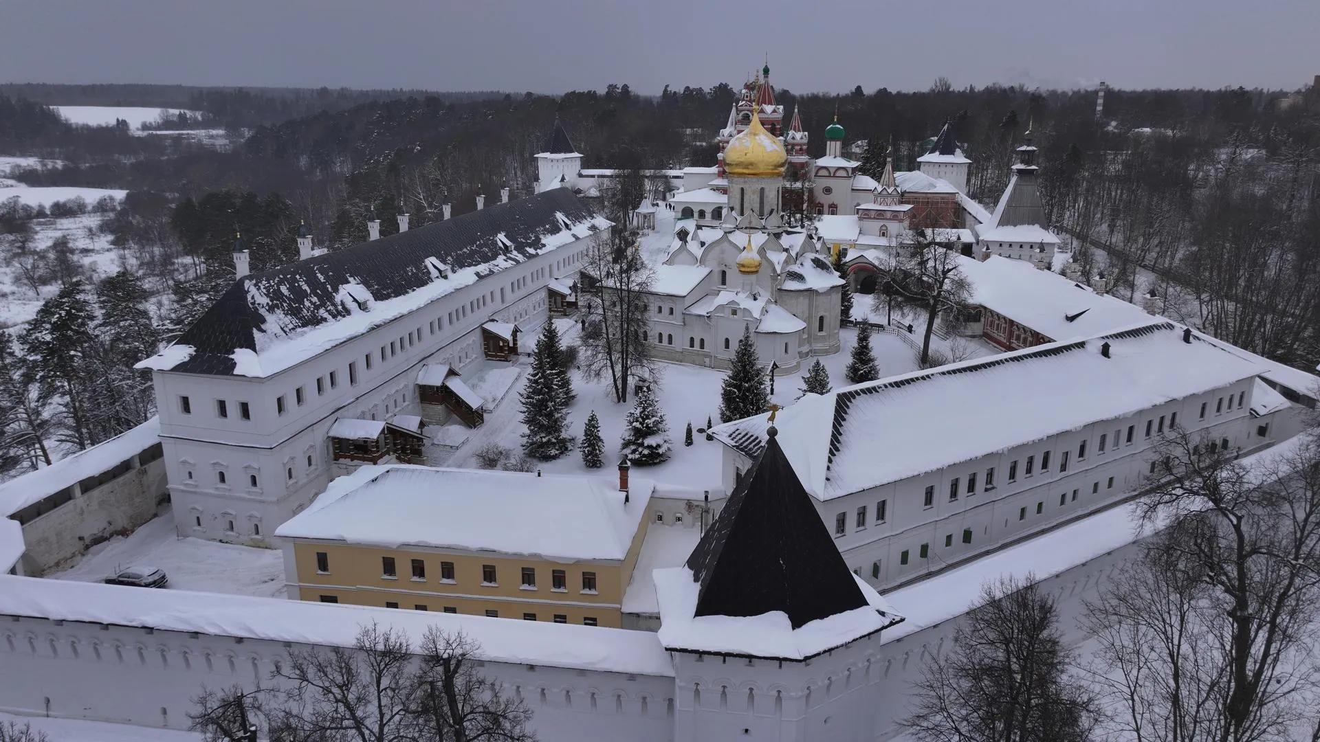 Дарья Московцева