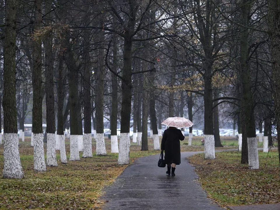 Пора менять резину: подробный прогноз погоды в Москве и Подмосковье на неделю с 11 по 14 ноября