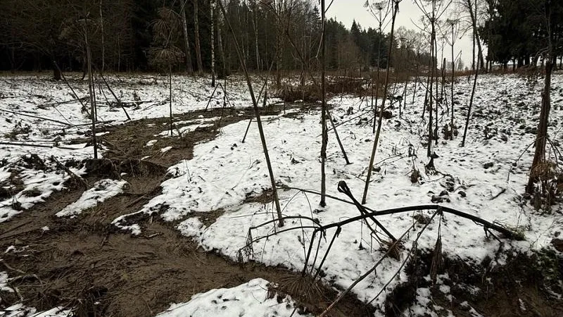 Фото: Министерство экологии и природопользования Московской области