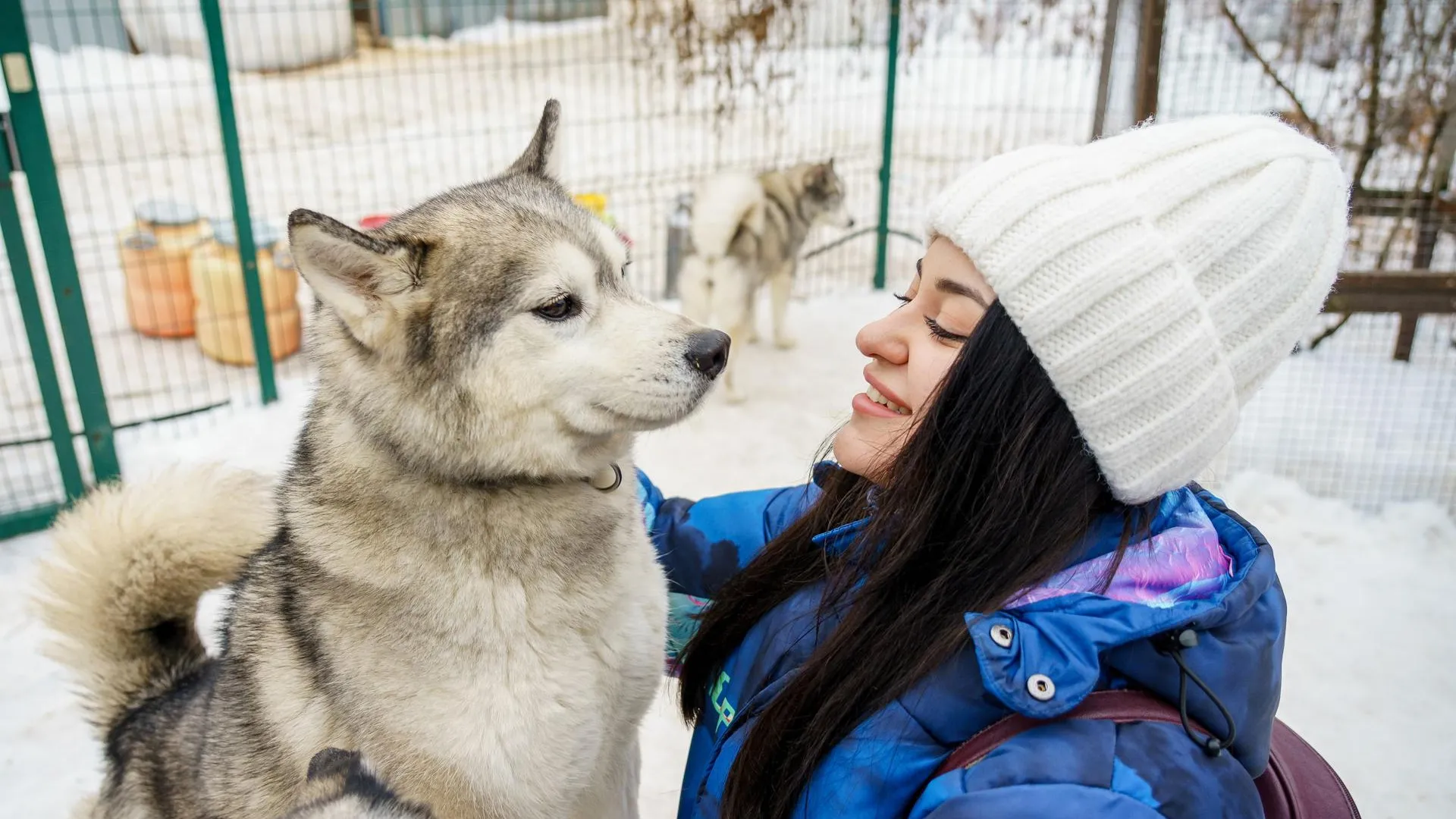 Фото: медиасток.рф