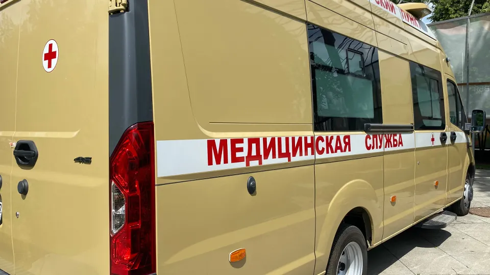 Фото: МедиаБанк Подмосковья/Юлия Лысихина