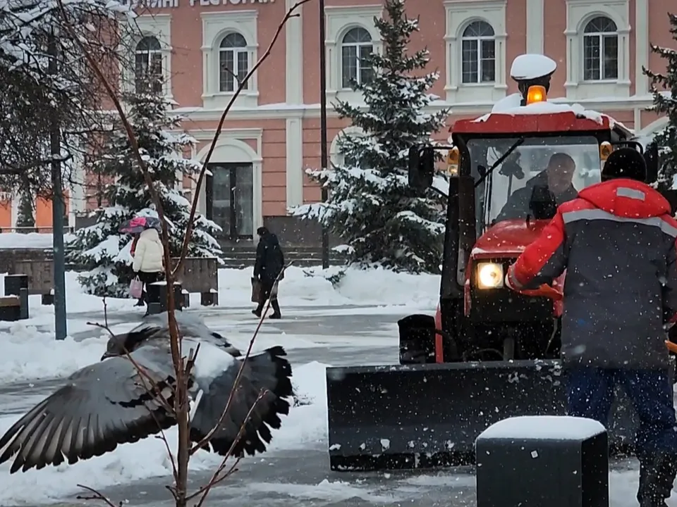 Фото: Ольга Антонова