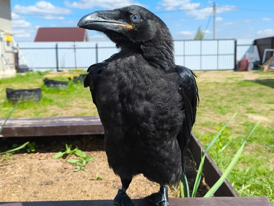 Фото: личный архив Оксаны Кравченко