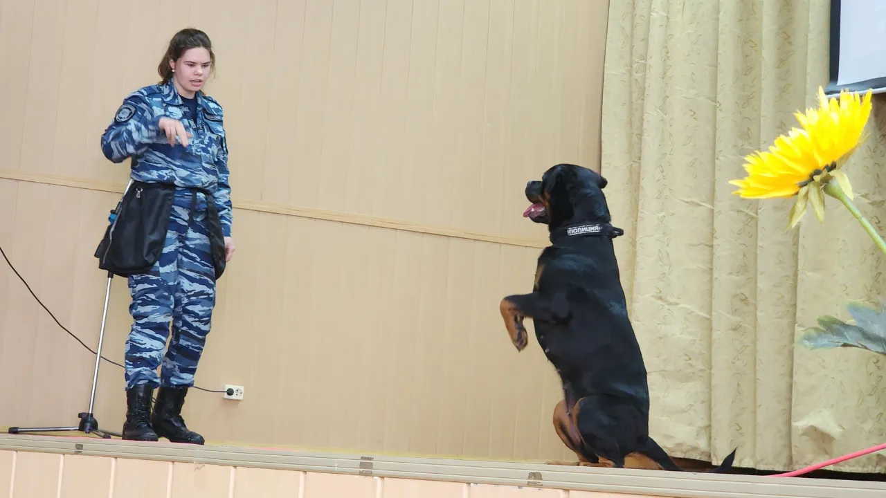 МедиаБанк Подмосковья/Юлия Андросова