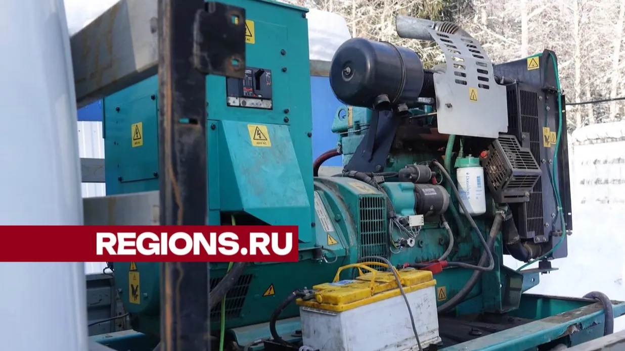 Фото: Дарья Леонова