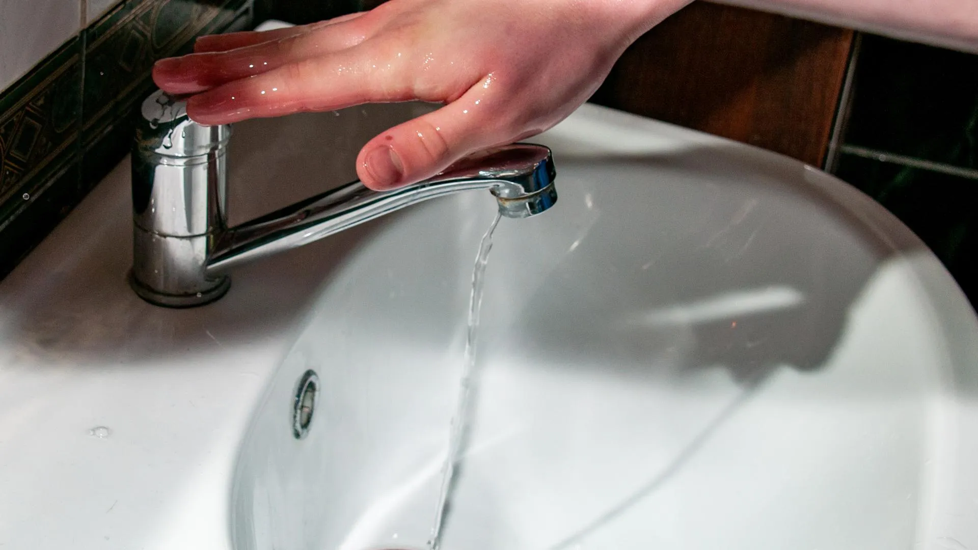 Svetlana Vozmilova/Global Look Press