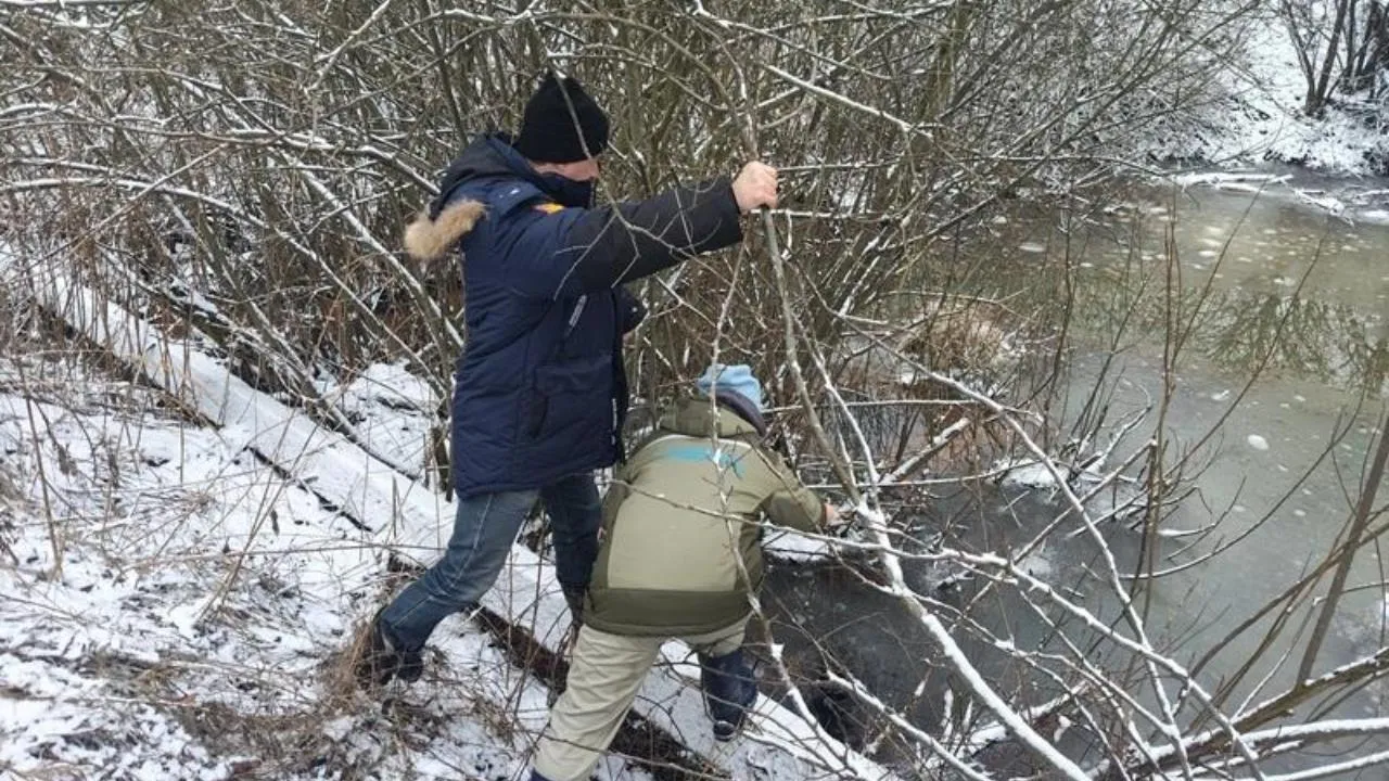 Минэкологии МО