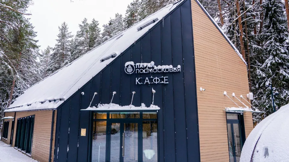 Фото: медиасток.рф