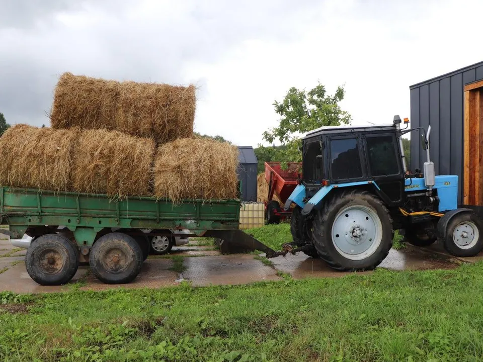 Фото: МАУ «Волок-Медиа»