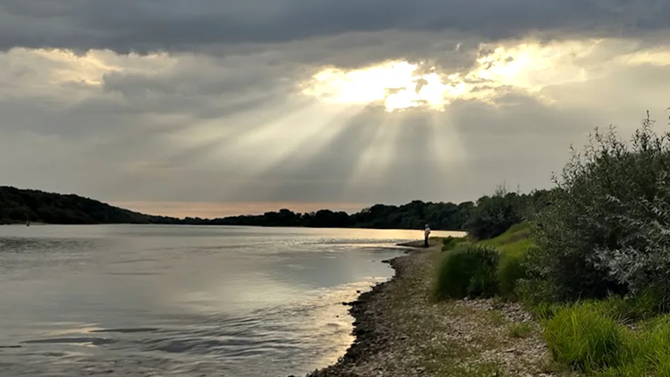 Фото: REGIONS/Алексей Селиверстов