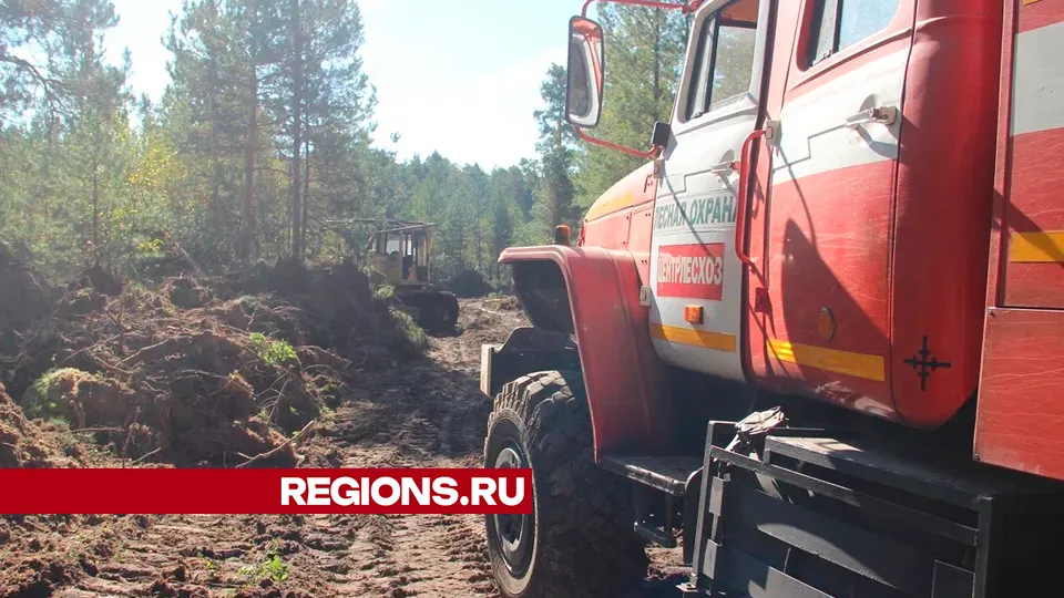 Фото: REGIONS/Василий Тремасов