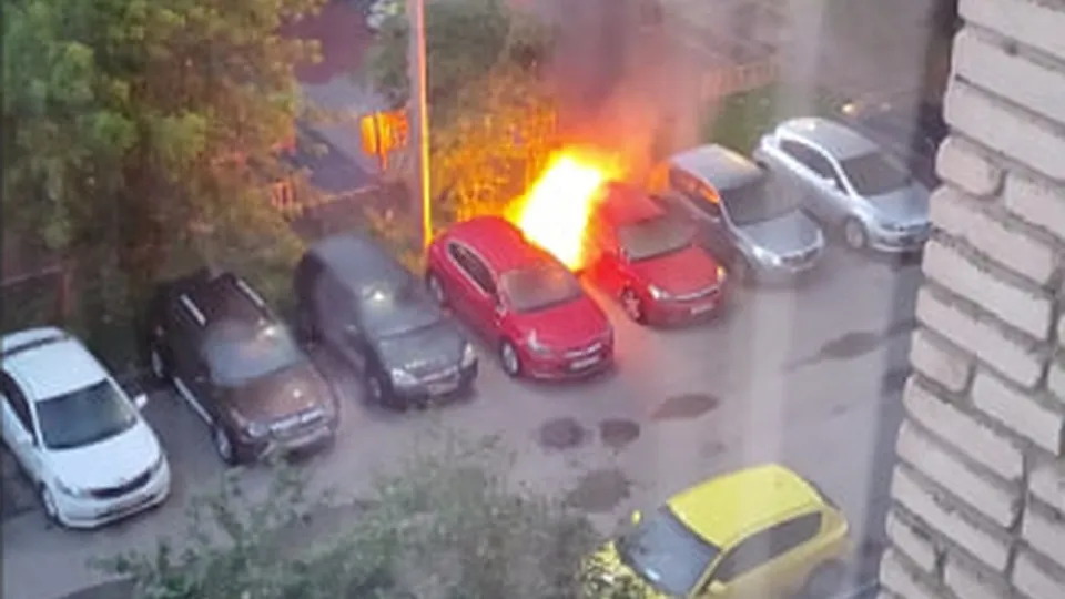 Фото: t.me/podolsk24life