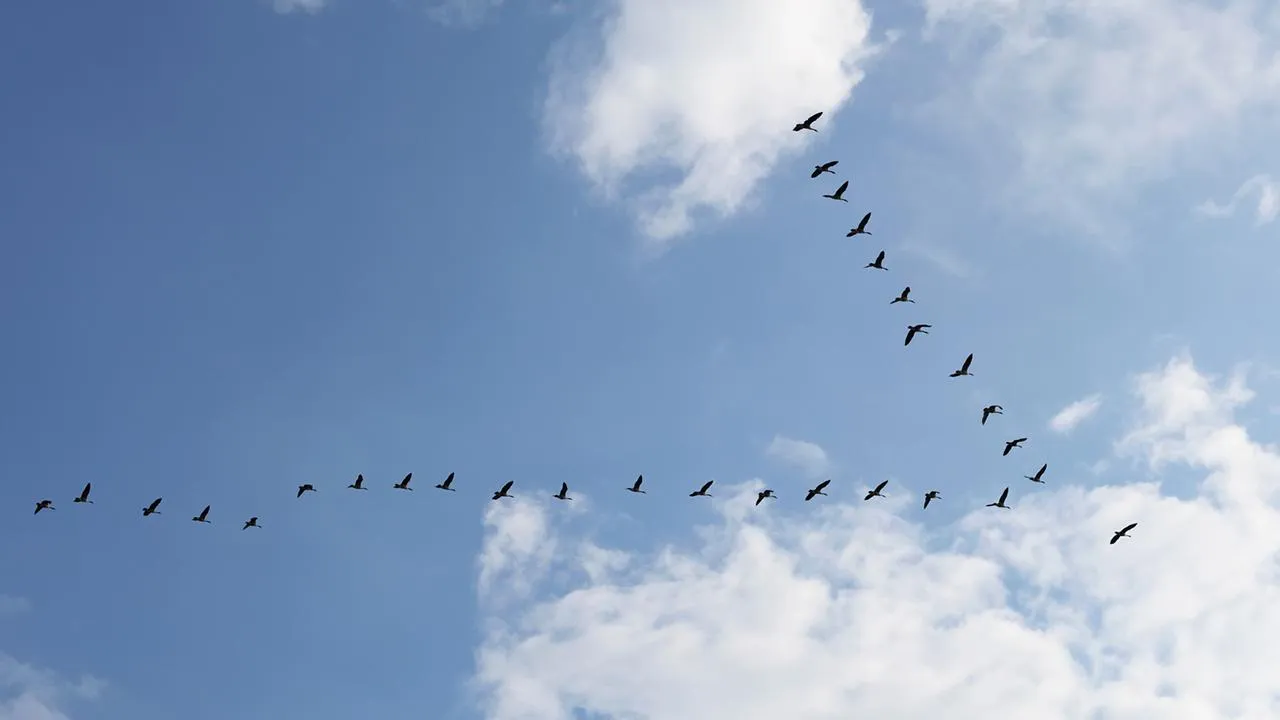 istockphoto.com/Willowpix